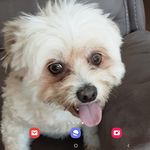 James Mcaleese - @jmcaleese2 - Instagram
