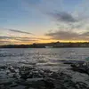 James McAllan - @james.mcallan - TikTok