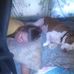 James McAusland - Facebook