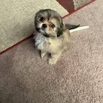 James McBryde - @james.mcbryde.355 - Instagram