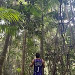 James McCahon - @jimmy.mccahon - Instagram