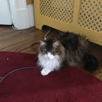 James mcCallion - @mccallion9757 - Instagram