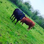 James Mccallion - @farmer_7740 - Instagram