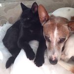 @james_mccance - Instagram