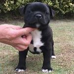 Glenn James McCaughey - @mccaugheyglenn - Instagram