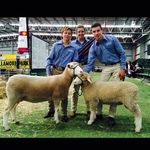 James - @james_mccaw_ - Instagram