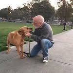 James McCawley - @mccawleyjames - Instagram