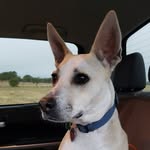 James McCleery - @jmac4570 - Instagram