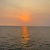 jamesmccomb - @james.mcc4 - TikTok