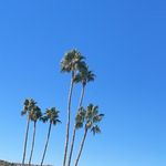 James mccook - @jamesmc1_ - Instagram