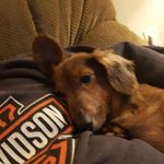 James McDaniel - @james.mcdaniel.75470 - Instagram