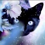 james McDaniels - @jamesmcdaniels427 - Instagram