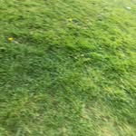 @james_mcfeery - Instagram