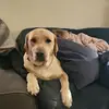 James McGaw - @james.mcgaw - TikTok