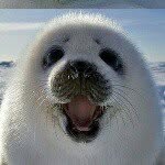 @jamesmcgilvray18 - Instagram