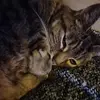 Neil James McIlduff - @neil.james.mcildu - TikTok