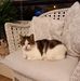 James Mckellar - Facebook