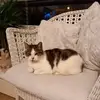 James Mckellar - @james.mckellar7 - TikTok