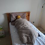James Mclay - @james_mclay_okay - Instagram