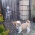 James Mclay - Facebook