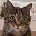 James McLelland - @james.mclelland.77 - Instagram