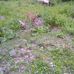James Mclean - Facebook