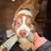 James Mcmacken - Facebook