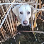 James McMillin - @mcmillin4832 - Instagram