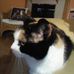 James Mcpeake - Facebook