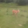 jamesmcpeake789 - @jamesmcpeake789 - TikTok
