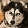 James McCown - @james.mccown3 - TikTok