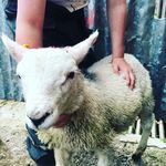 James McSorley - @jamesmx120 - Instagram