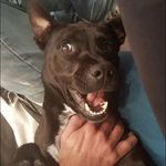 Wade James Mctigue - @wadejamesmctigue - Instagram