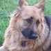 James Meece - Facebook