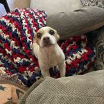 James Meece - @jmeece00 - Instagram
