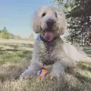 James Meier - @user492155685 - TikTok