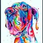 james Meirelles - @james.meirelles - Instagram