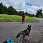 James Melnik - @jamesawesome206 - Instagram