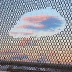 James Mewes - @mickihappel - Instagram