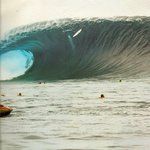 James Middaugh - @jamesmiddaughnz - Instagram