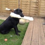 James Middlebrook - @595james - Instagram