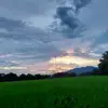 James Mier - @james.mier5 - TikTok