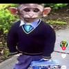 James Miggins - @jamesmiggins0 - TikTok
