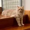 James - @james.miloo - TikTok