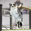 milo james - @milo.james22 - TikTok