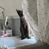 mr.milo.james - @mr.milo.james - TikTok