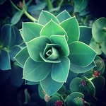 James Mitten - @fate25254 - Instagram