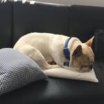 James Mitten - @james_mitten_1 - Instagram