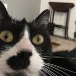 James Mittens - @jamesmfmittens - Instagram