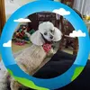 James Mix - @james.mix2 - TikTok
